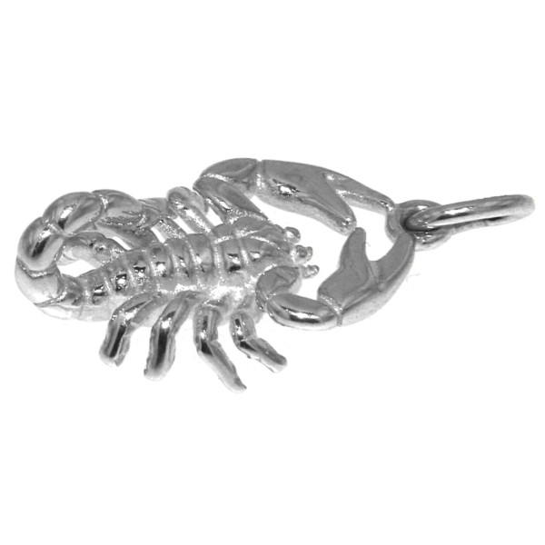 Skorpion Tier Tierkreiszeichen Sternzeichen Schmuck Anhänger Silber