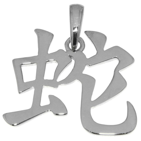 Chinesisches Schriftzeichen Schlange Schmuck Silber Anhänger