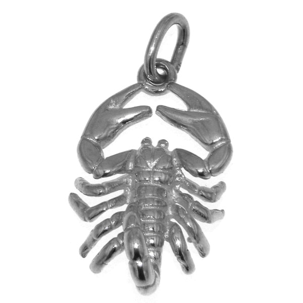 Anhänger Skorpion Tierkreiszeichen Sternzeichen massiv echt Silber