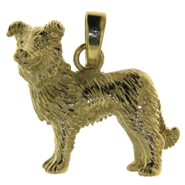 Anhänger Border-Collie Hund massiv echt Gold